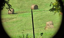 Vintage PECAR 6x Fixed Rifle