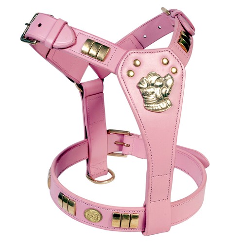 Leather staffy designer dog - leather,