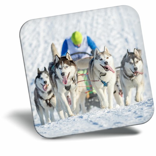 Awesome fridge magnet husky - awesome,