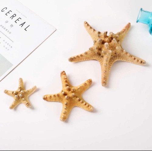 Natural starfish 50mm - starfish,