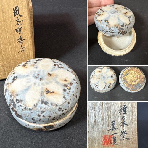 Japanese shiinoki kiln - shiinoki,