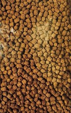 40 lbs Jumbo Pellet Koi Chow