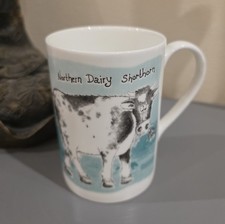 Northern Dairy Shorthorn Fine