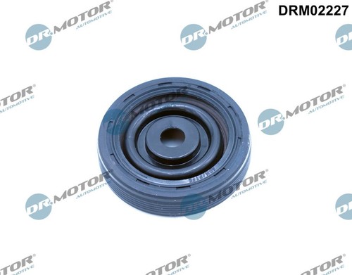 Shaft seal camshaft - shaft, seal,