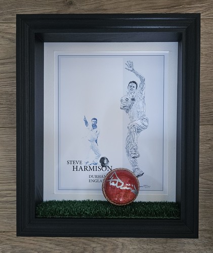 Steve harmison signed - steve,