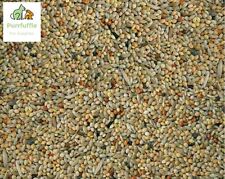 20KG BUDGIE SEED MIX Condition
