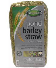 Blagdon Pond Barley Straw