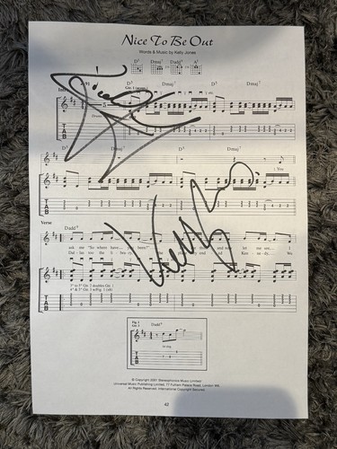 Stereophonis signed guitar - stereophonis,
