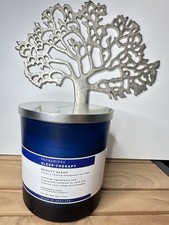 Pecksniff’s Sleep Therapy