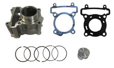 Barrel Std for 2009 Rieju Marathon Pro Supermotard 125