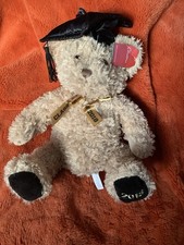 Clintons Graduation Teddy Bear