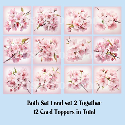 Japanese cherry blossom square - cherry,