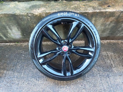 Jaguar x260 single - single, 20''