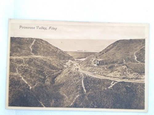 Postcard primrose valley - primrose,