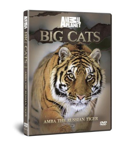 Discovery channel big cats - discovery,