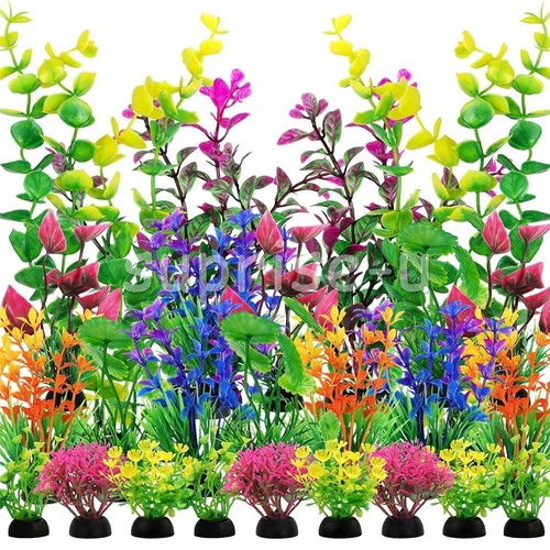 Pack aquarium plants - pack,