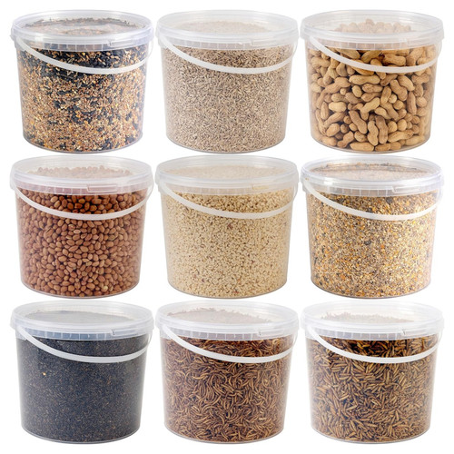 Wild bird food seed - bird,