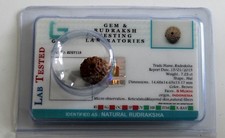 RUDRAKSHA RUDRAKSH JAVA INDONESIAN BEADS 8,9,10,11,12,13,14 MUKHI FACE CERTIFIED