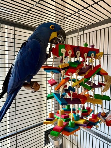 Parrot supplies wood sisal - &,