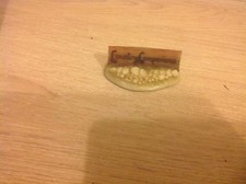 Robert Harrop COUNTRY