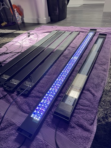 Fluval sea marine led - fluval,