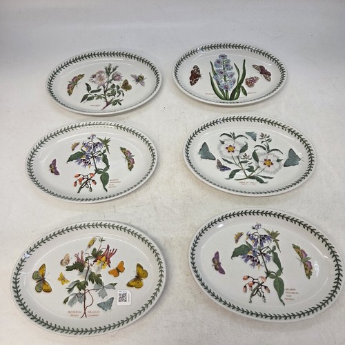Portmeirion botanic garden set - portmeirion,