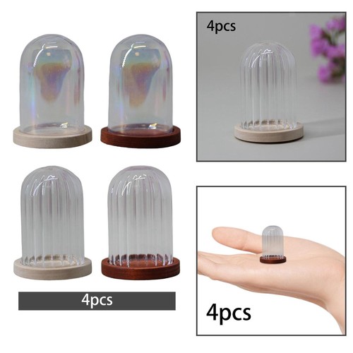 Clear glass cloche dome - clear, holder
