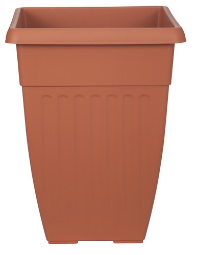 Athens planter plant flower - plant,