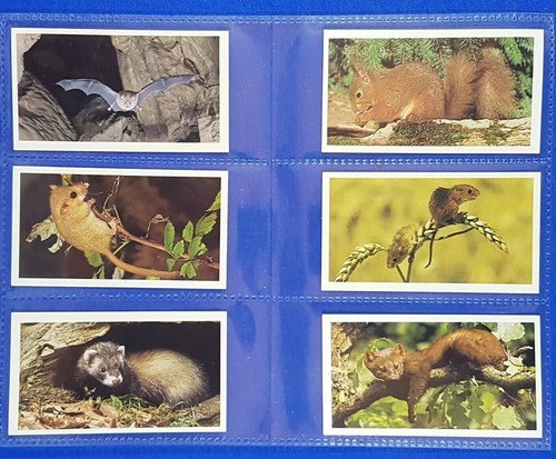 Grandee cigarette cards - grandee,