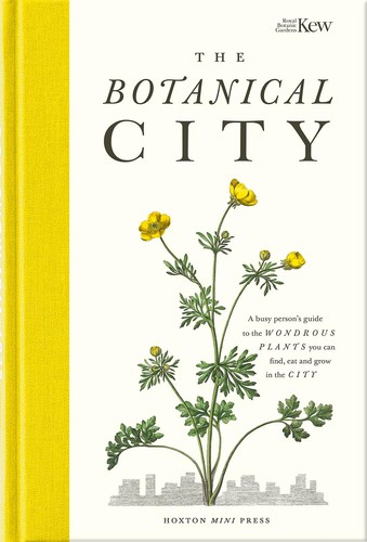The botanical city - the, city: