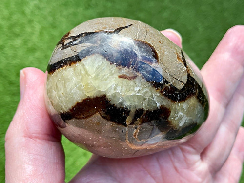 Polished septarian dragon - polished, egg