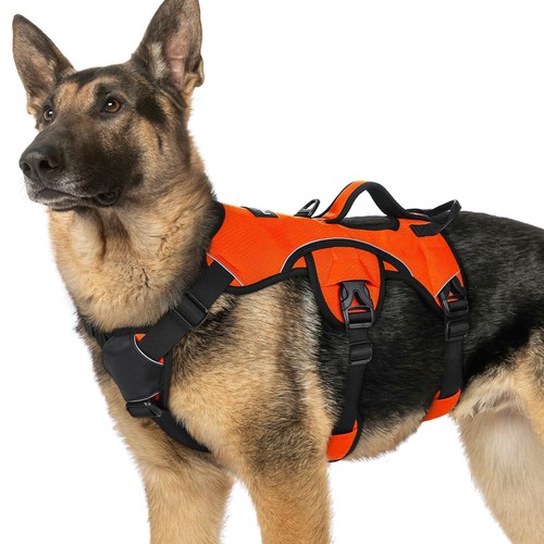 Rabbitgoo dog harness - dog, padded