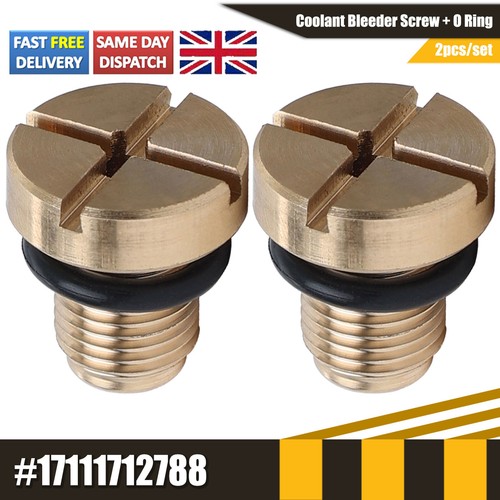 Vent screw brass radiator - screw,