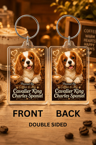 Cavalier king charles - 🐾☕cavalier,