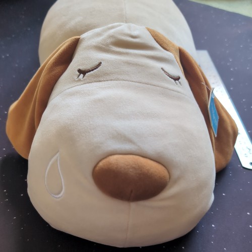 Sleeping dog hugging pillow - sleeping,