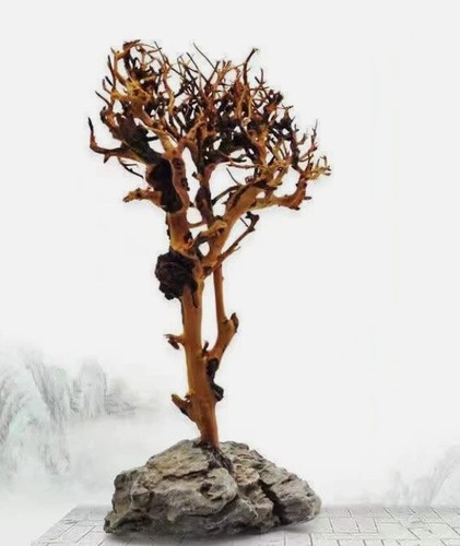 Driftwood tree aquarium - driftwood, fish