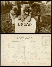 Chow Chow Dog Puppies Dogs 3 Three Little Loafers Bread, China Old R.P. Postcard