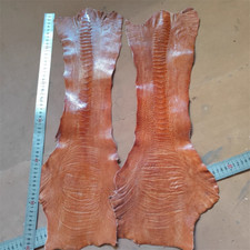 100% GENUINE OSTRICH LEG SKIN