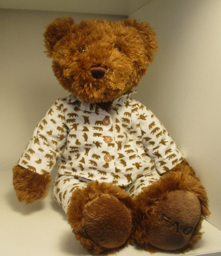 O schwarz teddy bear - o,