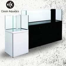 Reefscape Maxi 420 Rimless