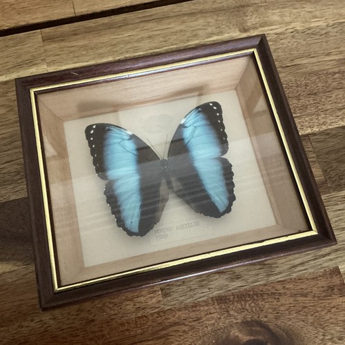 Vintage antique framed - antique,