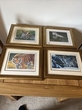 4 x Stephen Gayford Framed Print Picture, Limited Edition Lion, Tiger, Wolf