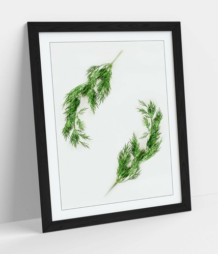 Pretty cooking herbs kitchen - cooking,
