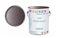 Classic Paint For Ford Escort