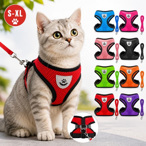 Adjustable cat harness and - cat,