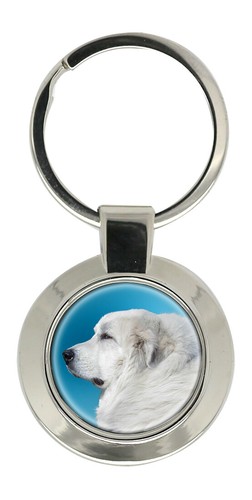 Pyrenean mountain dog - dog, ring