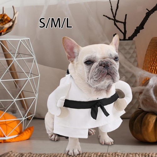 Dog halloween costume - dog, outfit
