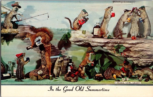 Humorous taxidermy squirrels - taxidermy,
