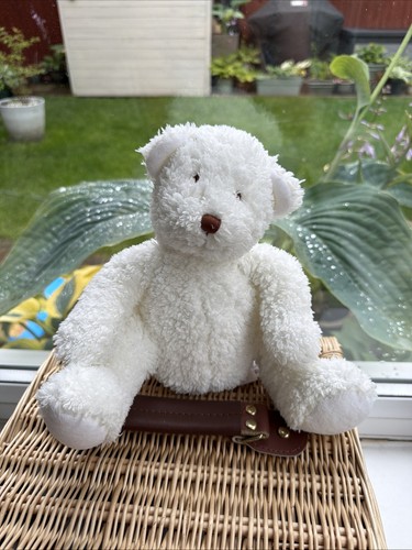 George asda fluffy teddy - george,