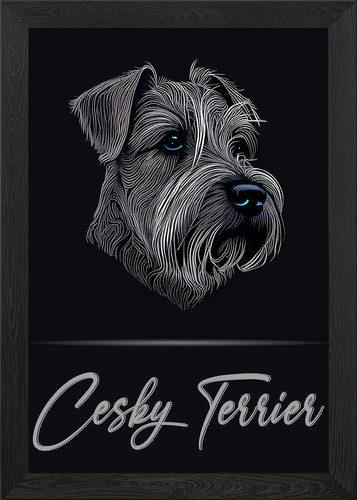 Cesky terrier portrait framed - portrait,